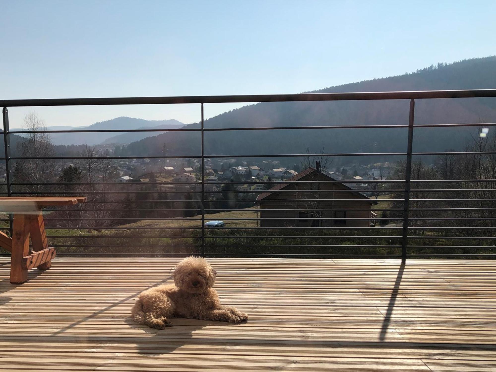 La Renouee Villa Gérardmer Dış mekan fotoğraf