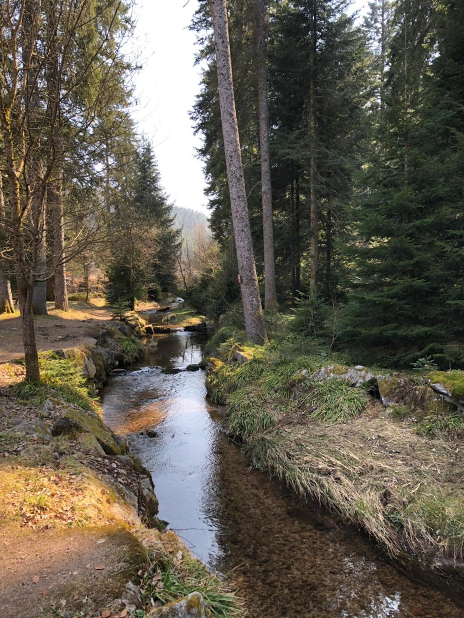 La Renouee Villa Gérardmer Dış mekan fotoğraf